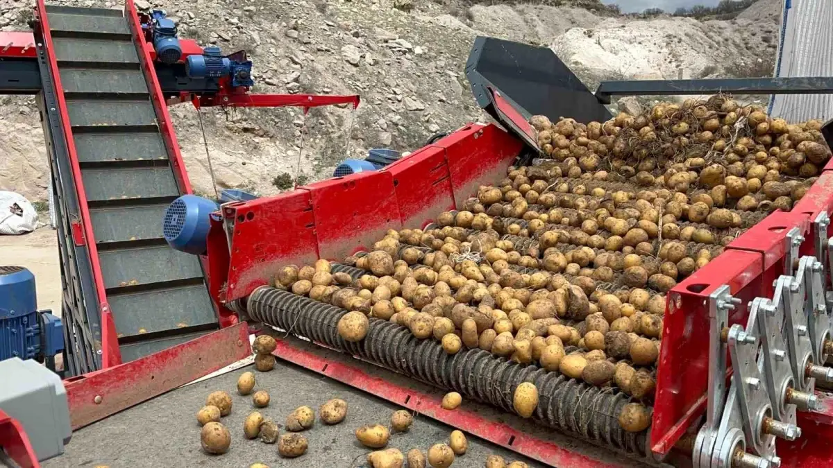 Nevşehir'de Doğal Soğuk Hava Depolarında Patates Tohumları Hazırlanıyor