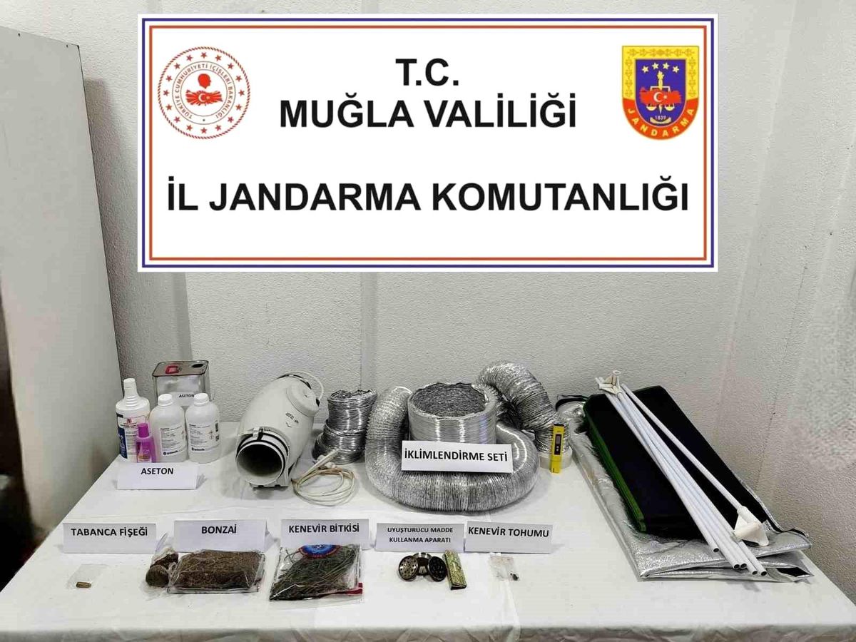 Bodrum'da Uyuşturucu Operasyonu: 1 Gözaltı