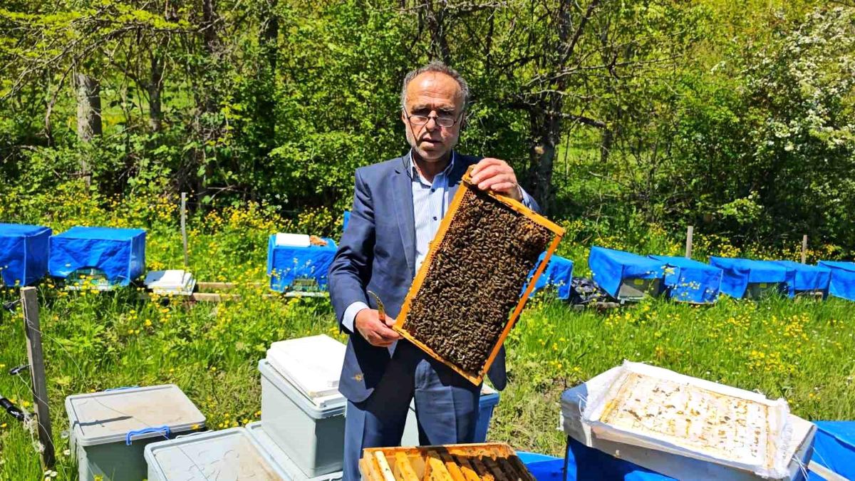 Artvin'de Soğuk Hava Arıcılığı Vurdu: Kaybın Oranı Yüzde 60 Olabilir