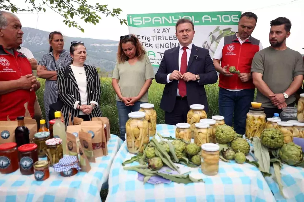 Hibrit Enginar Hasadı İçin Tarla Günü Etkinliği Düzenlendi
