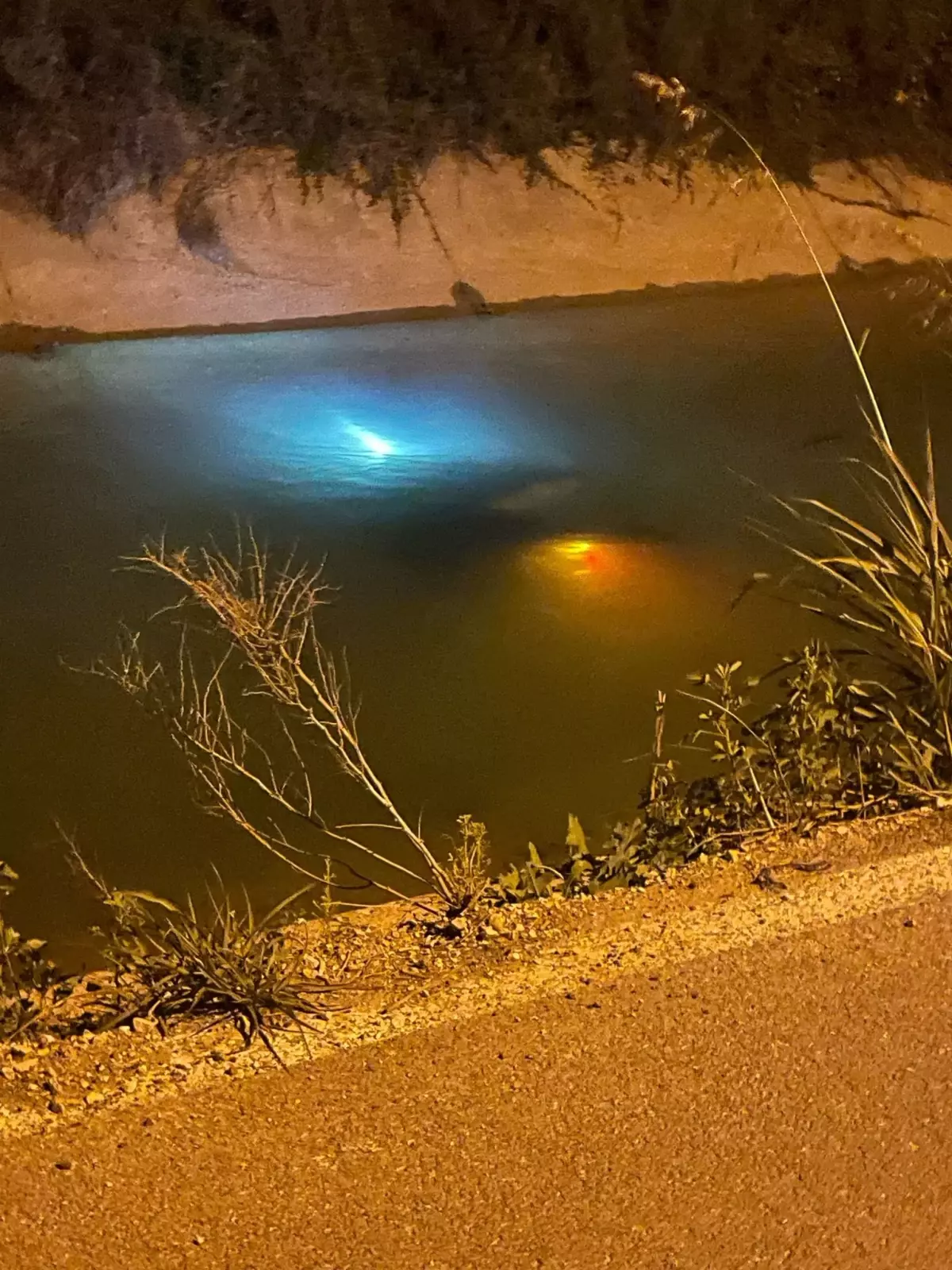 Adana'da Elektrikli Motosiklet Kazası: Bir Ölü, İki Yaralı