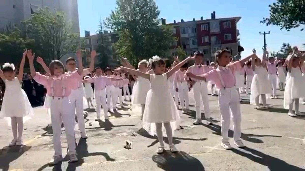Edirne'de 23 Nisan Kutlamalarında Flamingolar Göklerde Dans Etti