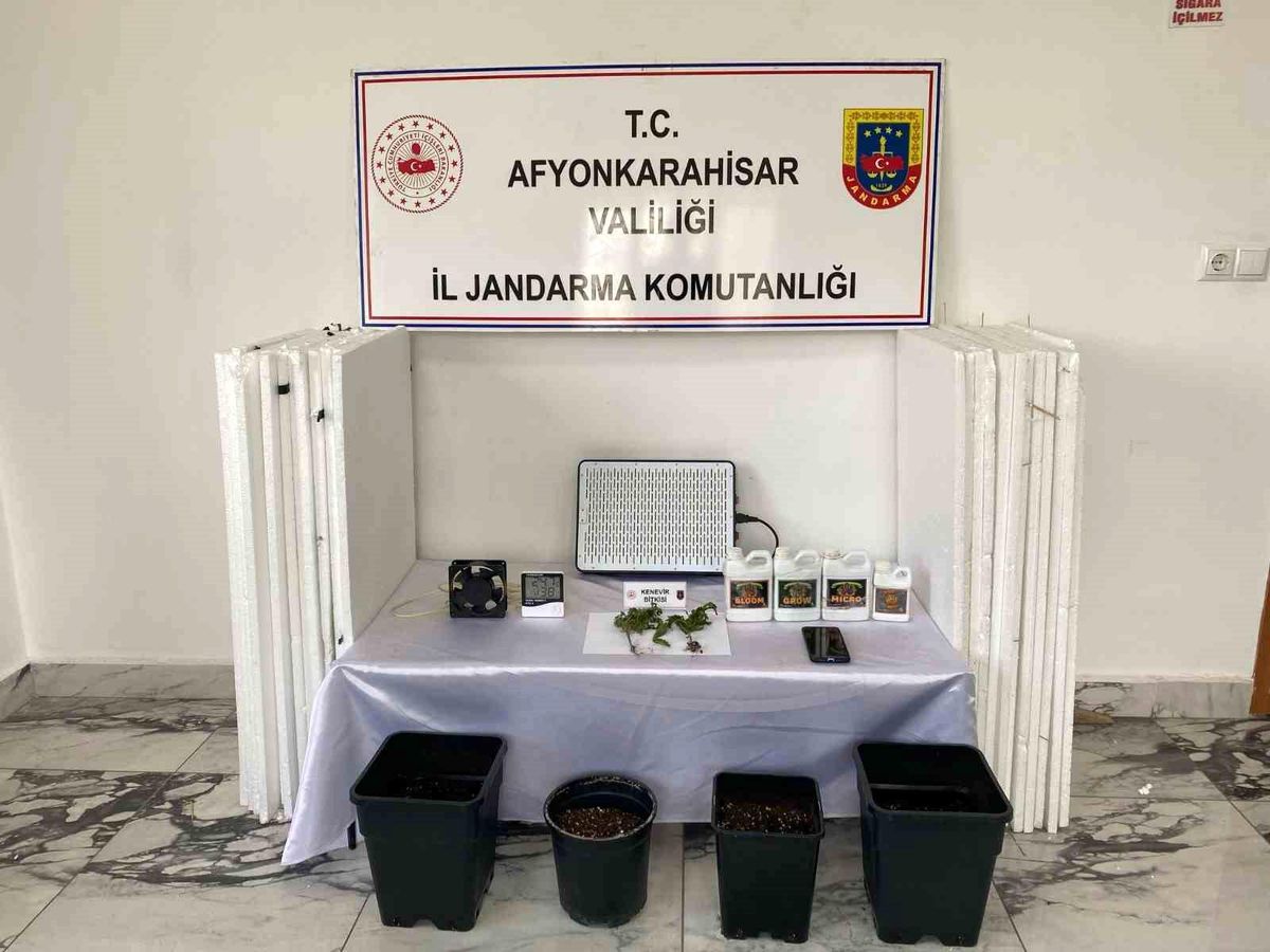 Uyuşturucu Ekin Şahıs Jandarma Tarafından Yakalandı