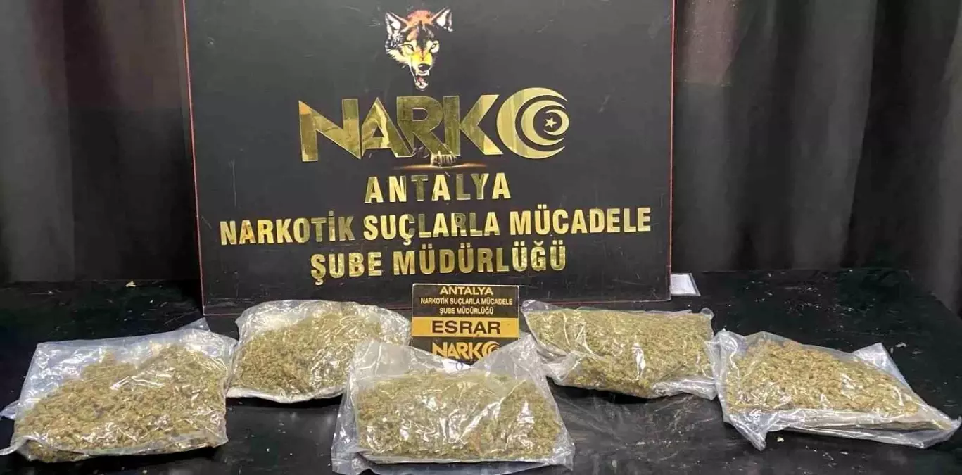 Antalya'da Uyuşturucu Operasyonları: 118 Şüpheli Yakalandı