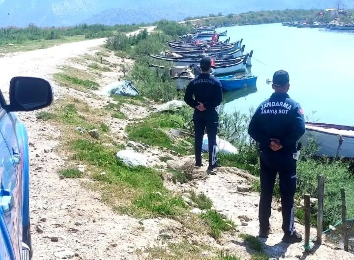 Bafa Gölü'nde Nesli Tükenme Tehlikesi Altındaki Kuşlar İçin Denetim Yapıldı