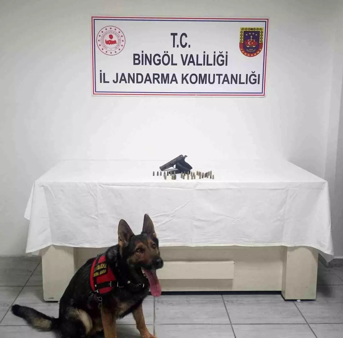 Bingöl'de Ruhsatsız Silah ve Fişek Ele Geçirildi