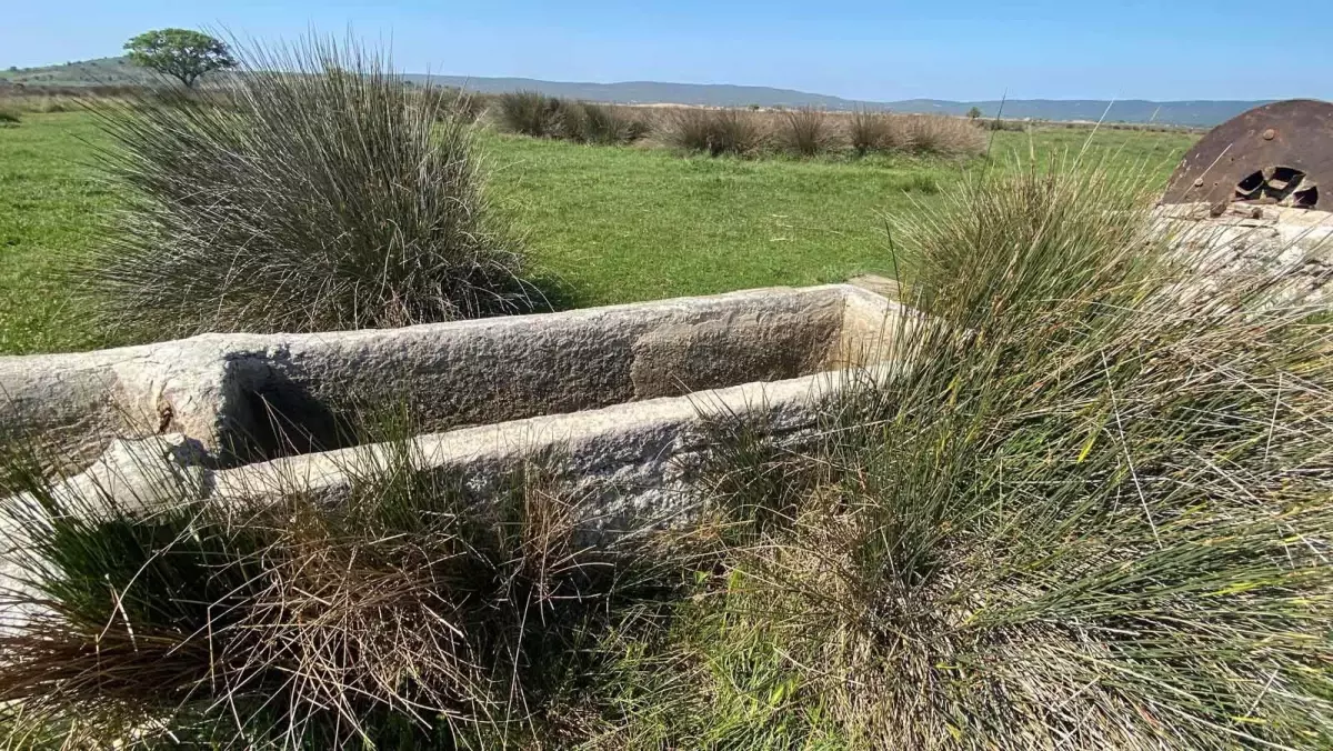 Çanakkale Kara Savaşları sırasında arkeolojik kazılar da yapıldı