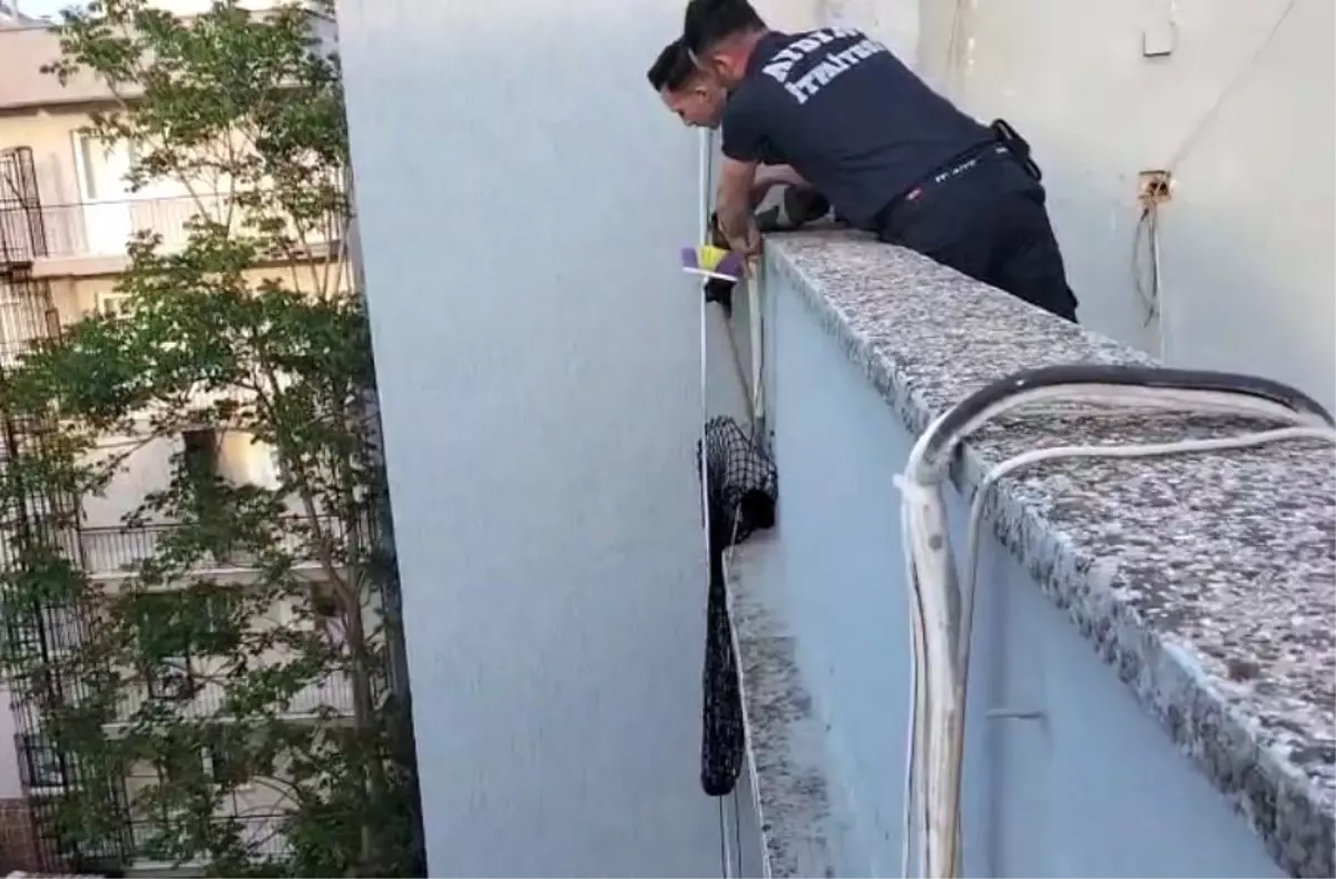 Aydın'da Çatıda Mahsur Kalan Yavru Kedi Kurtarıldı