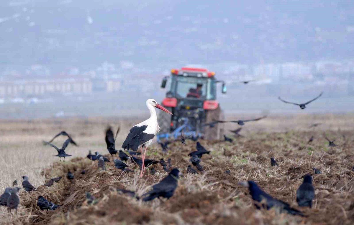 Mart ayında Türkiye'de 195 bin 682 taşıt trafiğe kaydedildi
