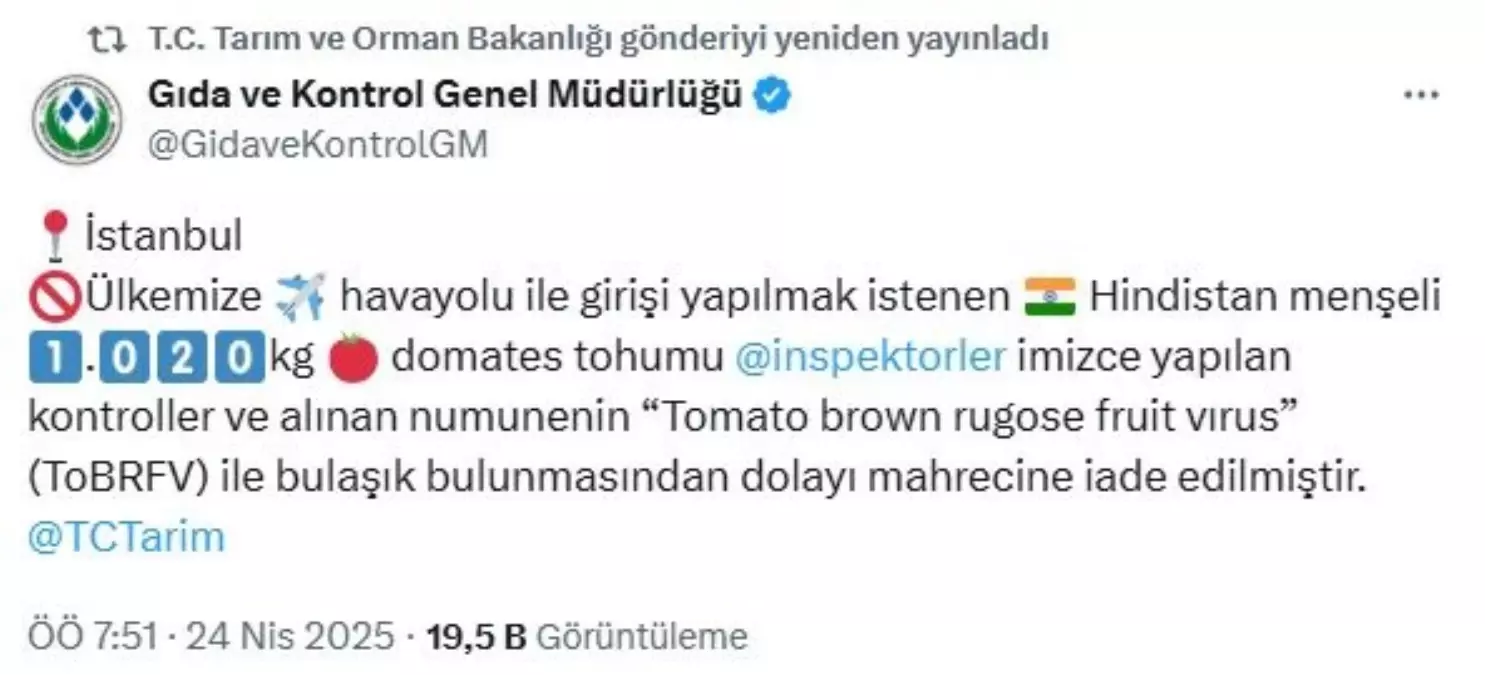 Yurda Giriş Yapan Domates Tohumları Virüsle Bulaşık Bulundu