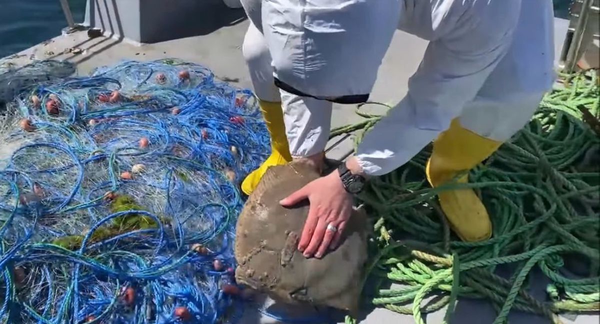 Kalkan Balığı Avı Yasaklarına Uymayan Balıkçı Ağlarına El Konuldu