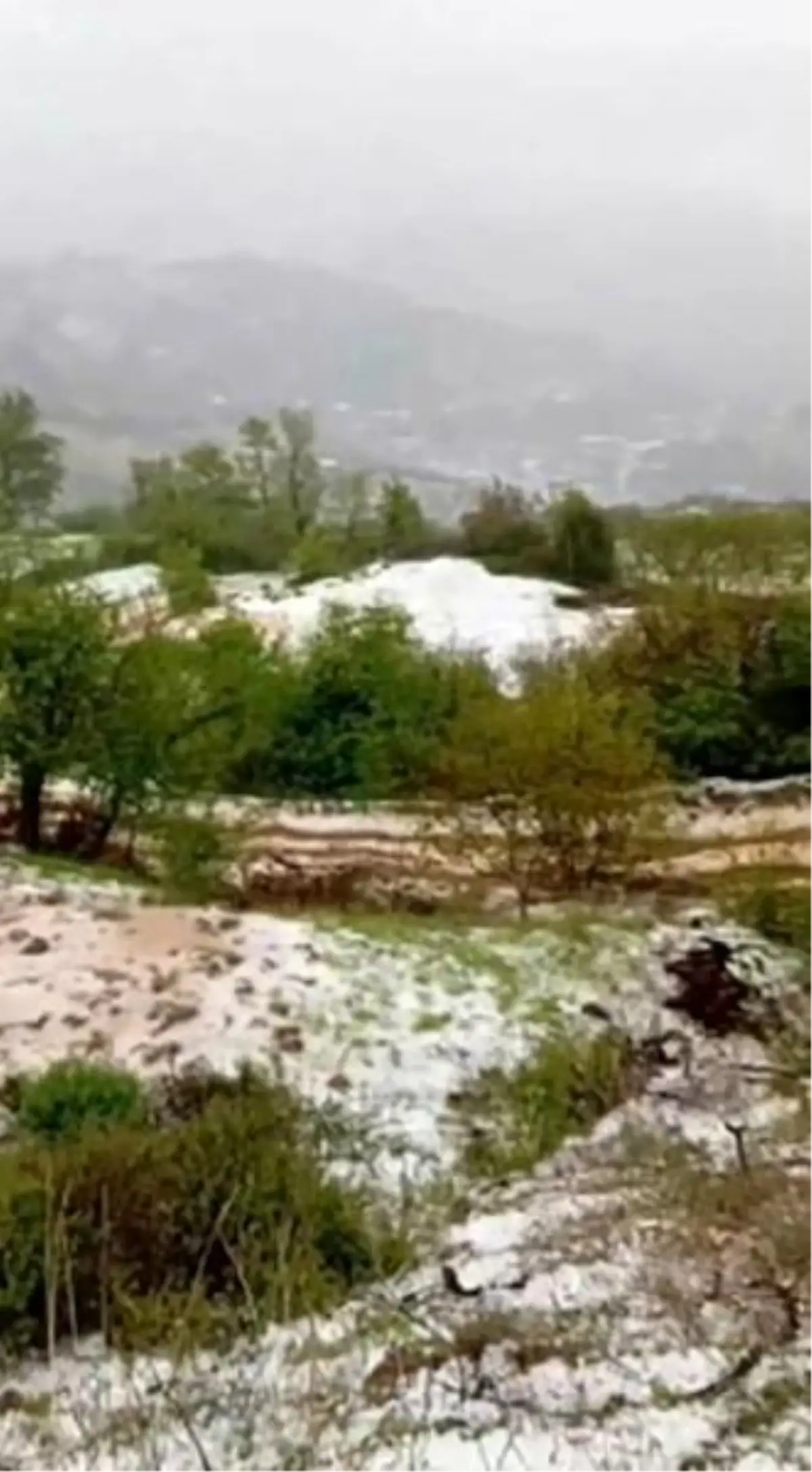 Ödemiş'te Dolu Yağışı Araziyi Beyaza Bürüdü