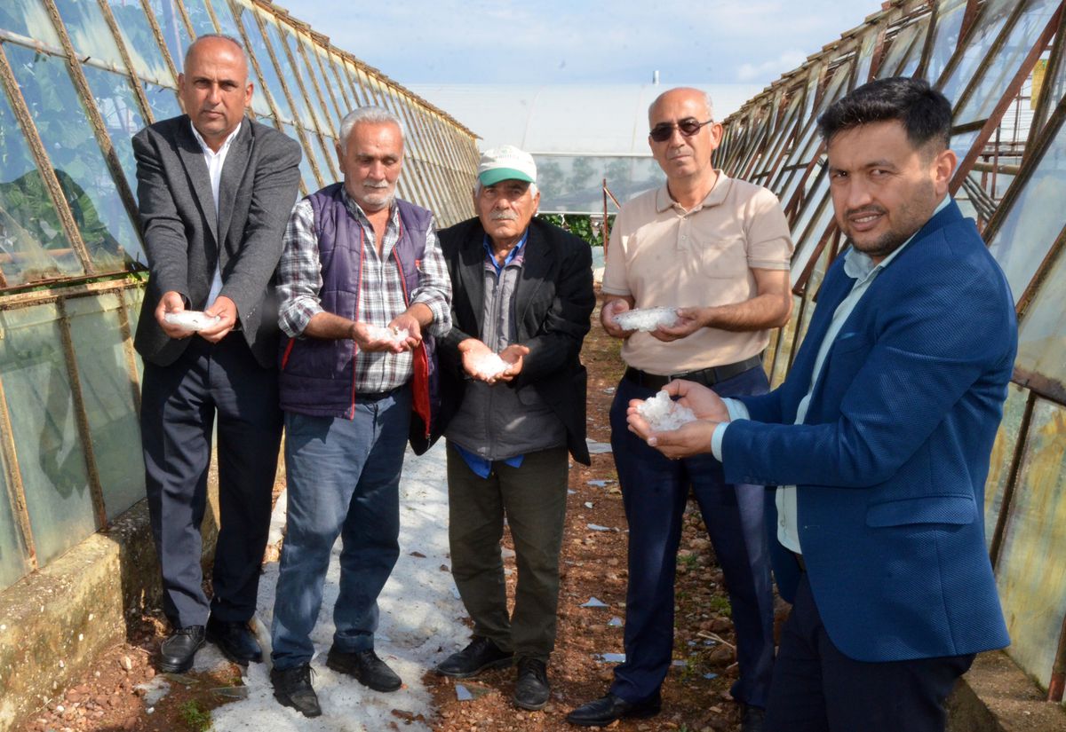 Serik'te Dolu ve Fırtına Tarım Ürünlerine Zarar Verdi