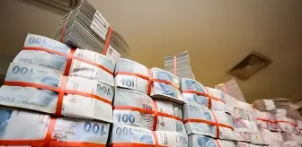 6 milyarlık tarımsal destek ödemeleri hesaplara yatırılıyor