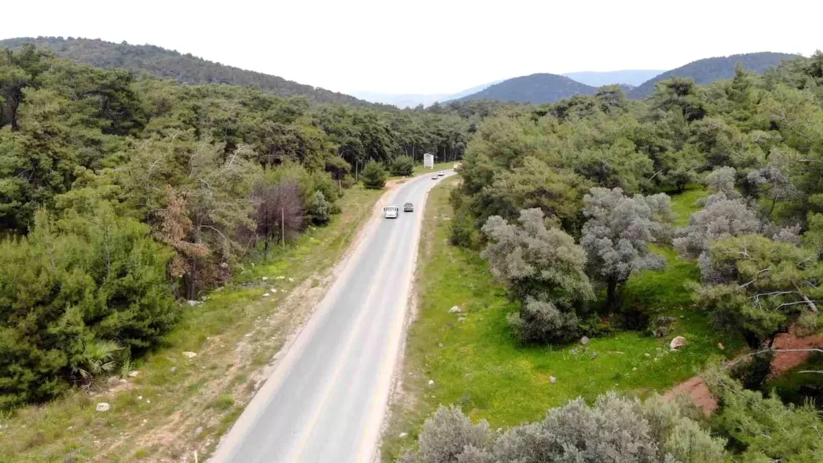 Bodrum'da Drön ile Trafik Denetimi: 100'den Fazla Sürücüye Ceza Kesildi