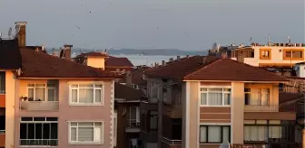 Çadır, konut ve nakliye fırsatçılarına karşı idari yaptırım geliyor
