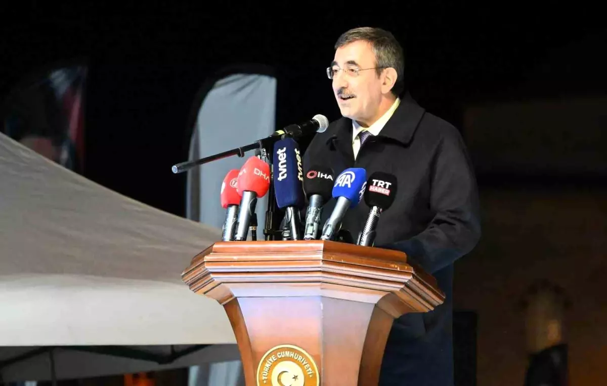 Cumhurbaşkanı Yardımcısı Cevdet Yılmaz Erzincan'da