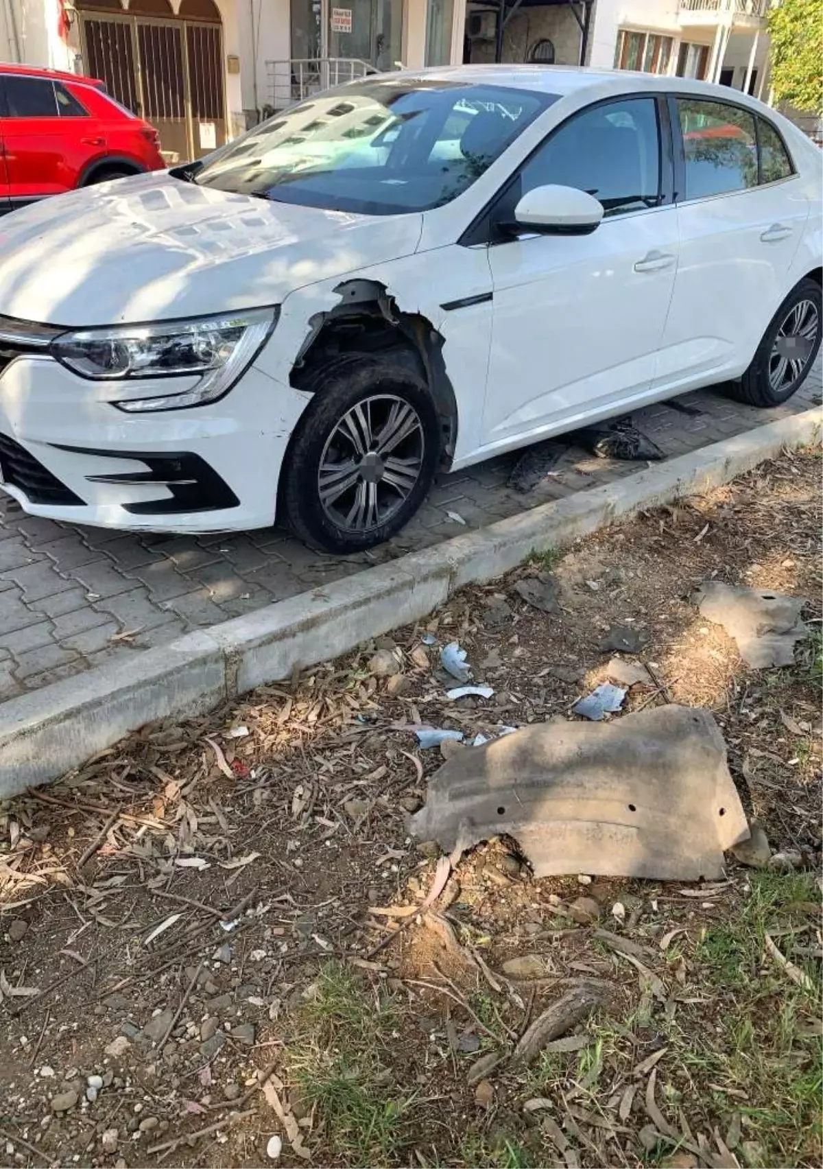 Fethiye'de Domuz Sürüleri Otomobili Parçaladı