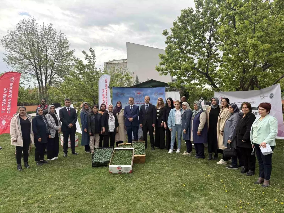 Iğdır'da Kadın Çiftçilere Fide Dağıtımı