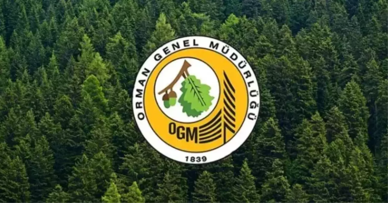 OGM PERSONEL ALIMI SONUÇ EKRANI: Orman Genel Müdürlüğü 3.477 personel alımı başvuru sonuçları açıklandı mı? OGM sonuçları nereden açıklanacak?