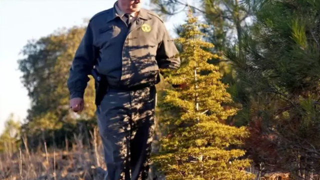 ORMAN GENEL MÜDÜRLÜĞÜ PERSONEL ALIMI SONUÇ EKRANI: OGM 3.477 personel alımı başvuru sonuçları açıklandı mı? OGM sonuçları nereden açıklanacak?