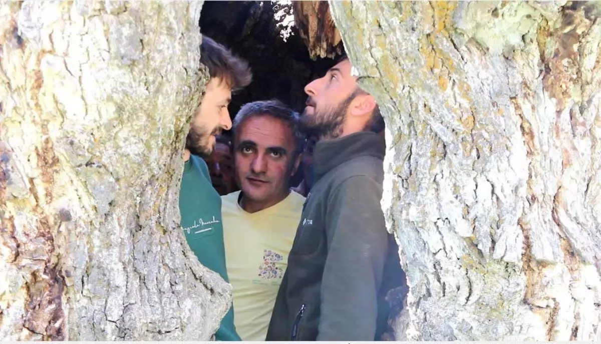 Hakkari'deki Asırlık Ceviz Ağacına 12 Kişi Sığdı