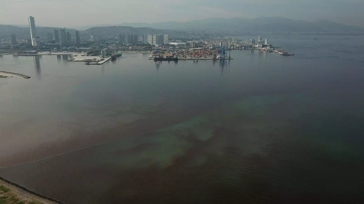 İzmir 2024 Su Raporu açıklandı; Körfezin ekolojik durumu kötü