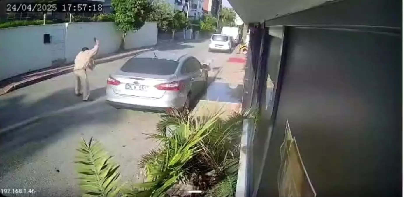 Antalya'da Silahlı Köpek Olayı: Yaşlı Adamın Vurduğu Lady Hayatını Kaybetti