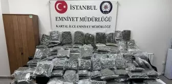 Maltepe'de petshop görünümlü depoda 100 kilo uyuşturucu ele geçirildi