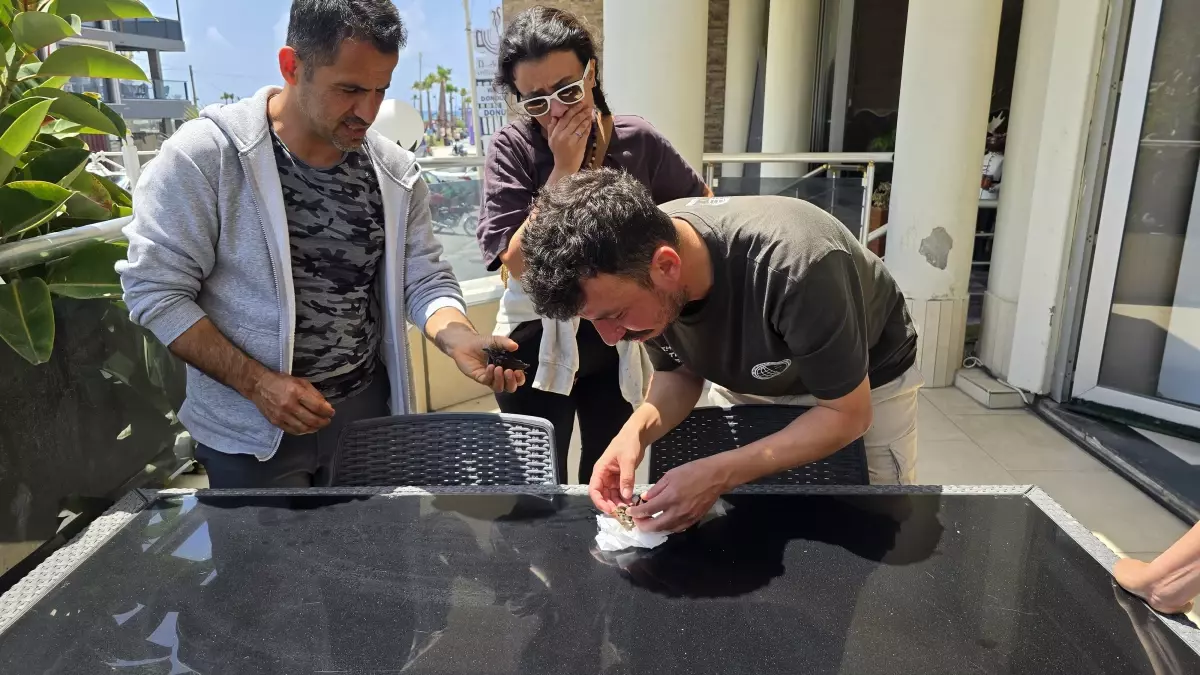 Kuş Cennetinde Yapıştırıcı Tuzaklar: Gözlemciler Kuşları Kurtardı