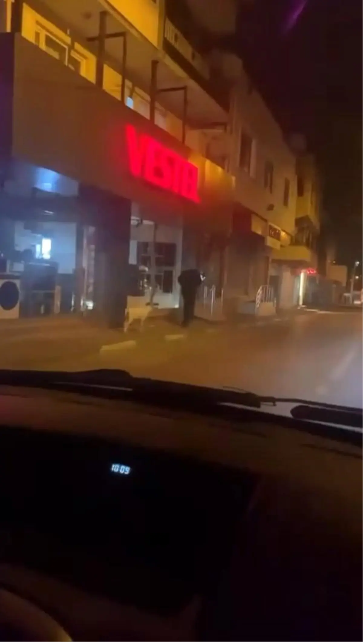 Bursa'da Kuzuyla Dolaşan Vatandaş İlgi Odağı Oldu