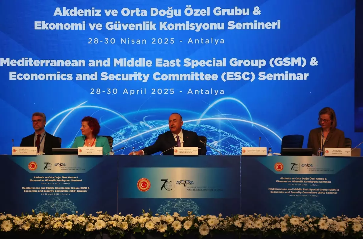 NATO Parlamenterler Asamblesi Semineri Antalya'da başladı