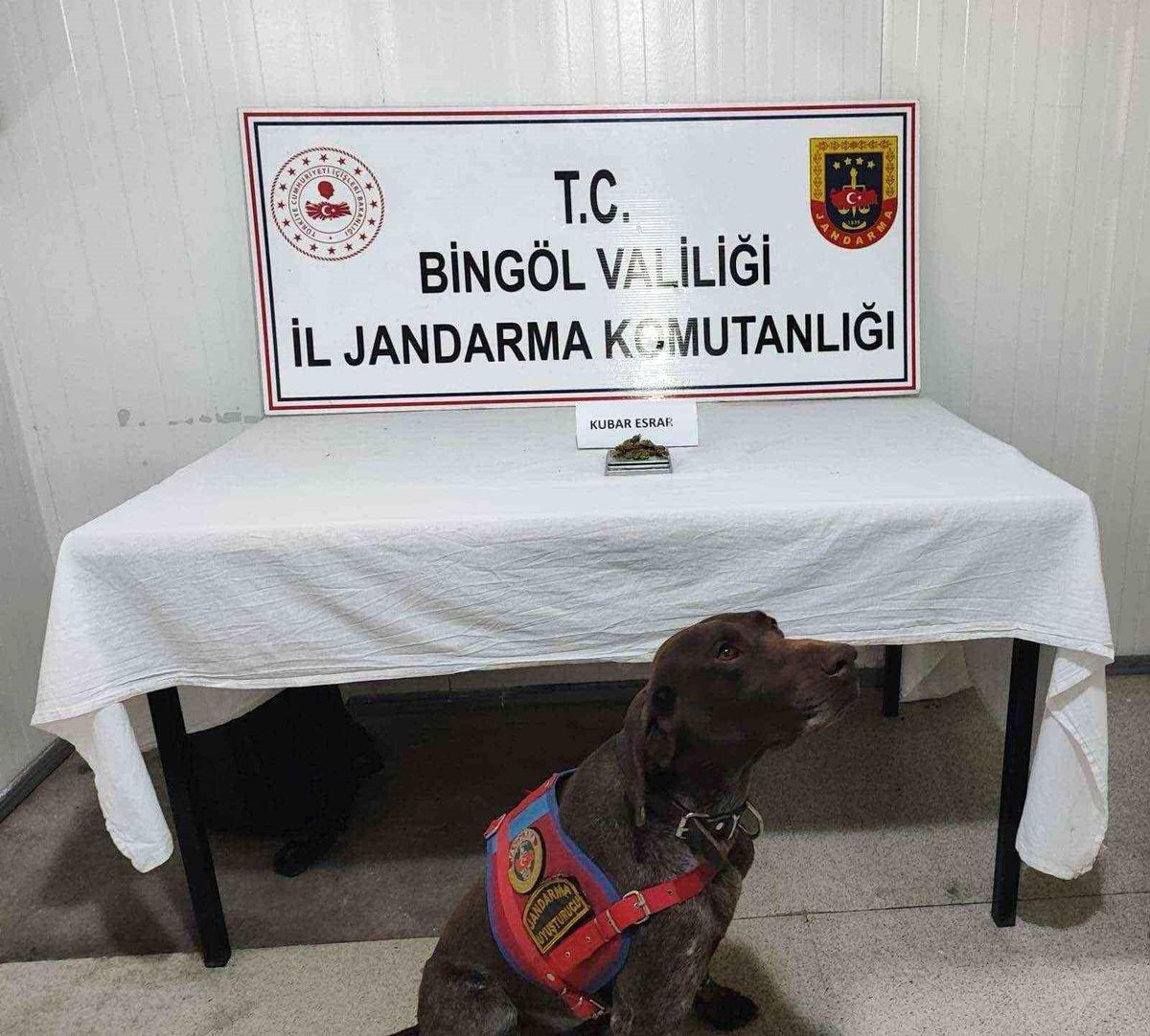 Bingöl'de Jandarma Operasyonu: Esrar ve Tüfek Ele Geçirildi