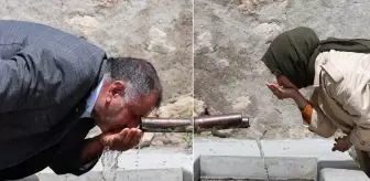 Bu köyün suyunu içen doktor oluyor! Her hanede en az bir tane var
