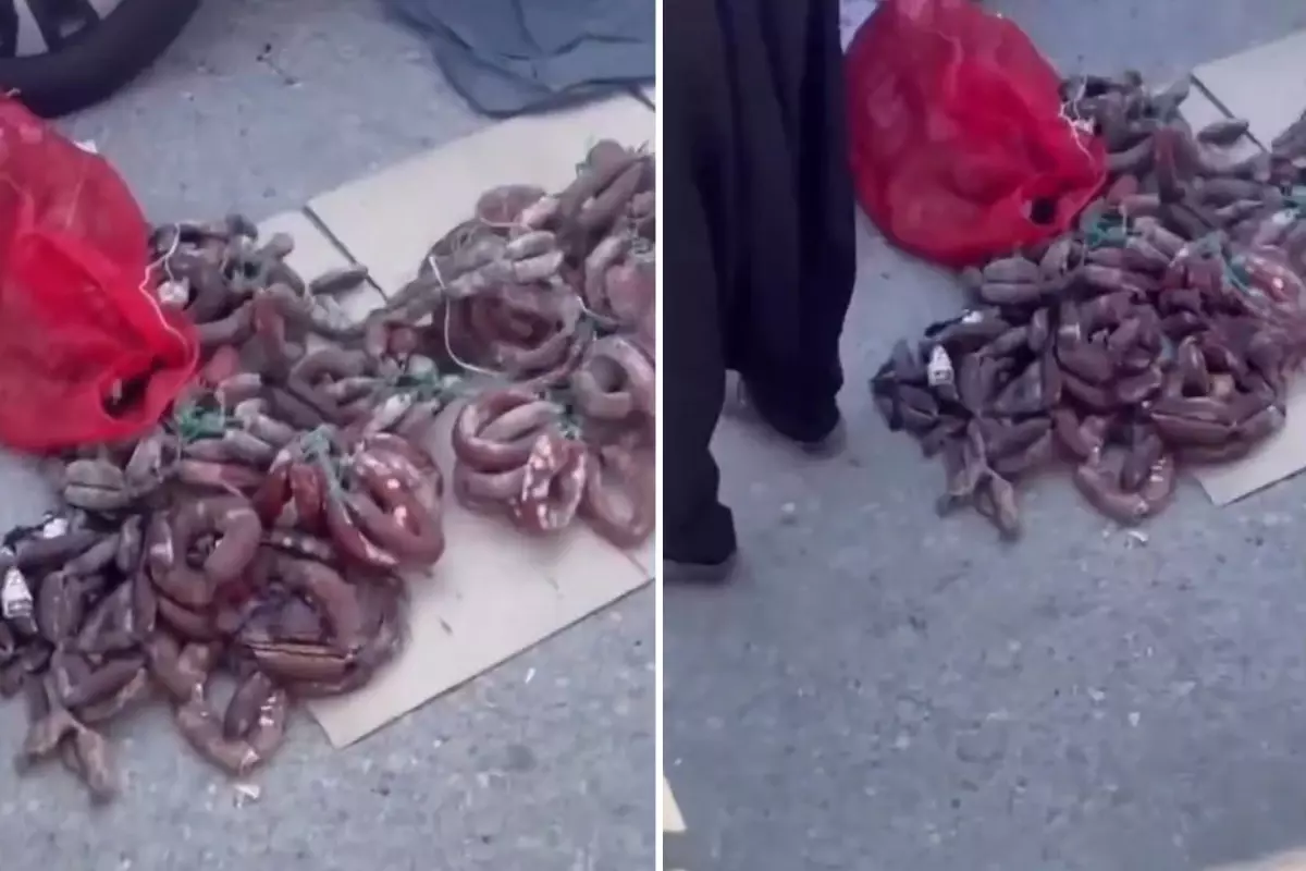 Burası Hindistan değil Türkiye! Videoyu izleyenler şaşkınlığını gizleyemiyor