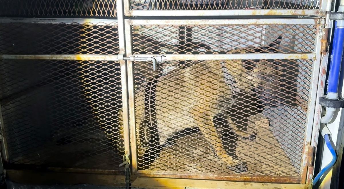 Bitlis'te Uyuşturucu ve Silah Operasyonu: 5,5 Kilo Skunk ve Tabanca Ele Geçirildi