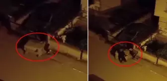 Kağıt toplayan kadının üstüne çöp konteyneri devrildi
