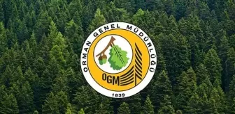 ORMAN GENEL MÜDÜRLÜĞÜ 105 PERSONEL ALIMI | OGM personel alımı başvuru şartları nelerdir? İHA personel alımı başvurusu ne zaman, nasıl yapılır?
