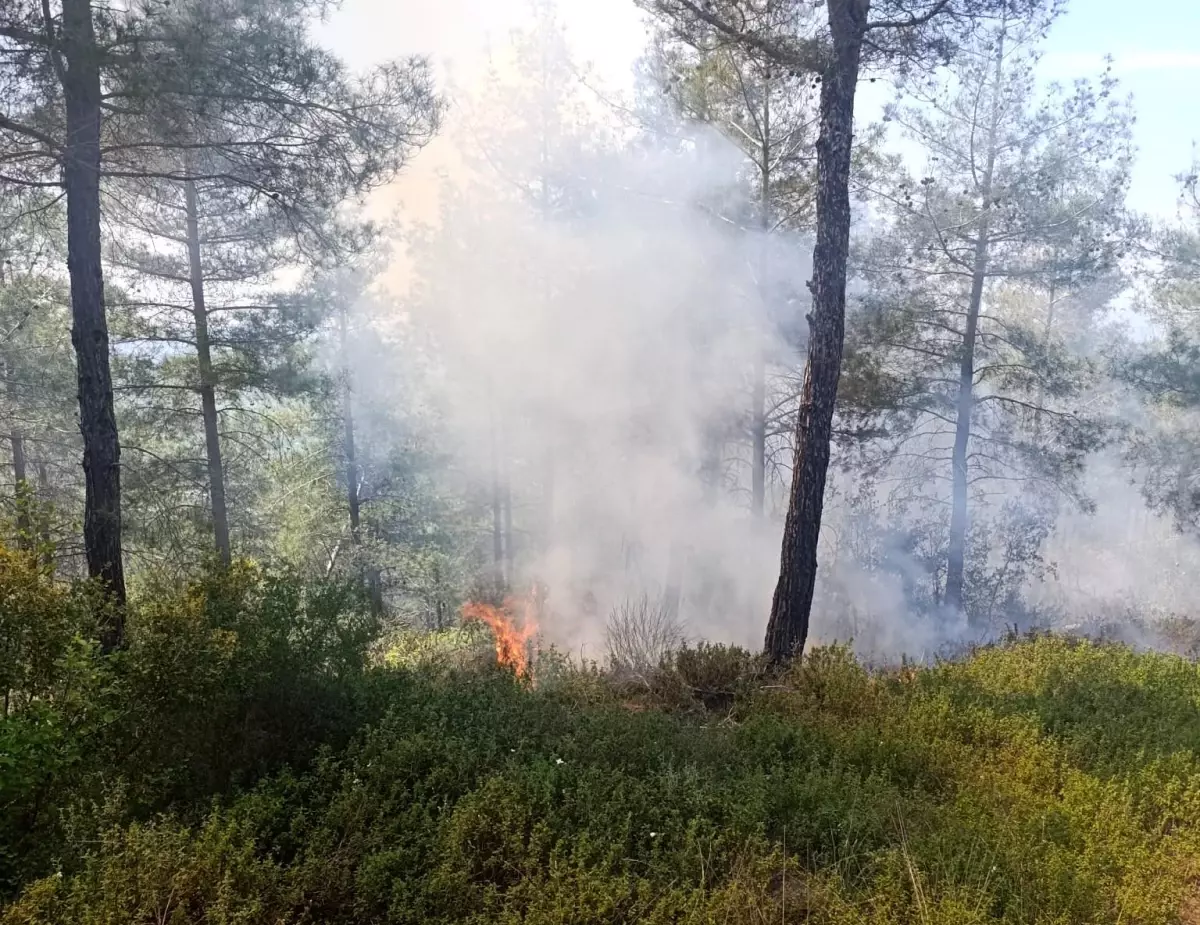 Osmaniye'de Orman Yangını Kontrol Altına Alındı