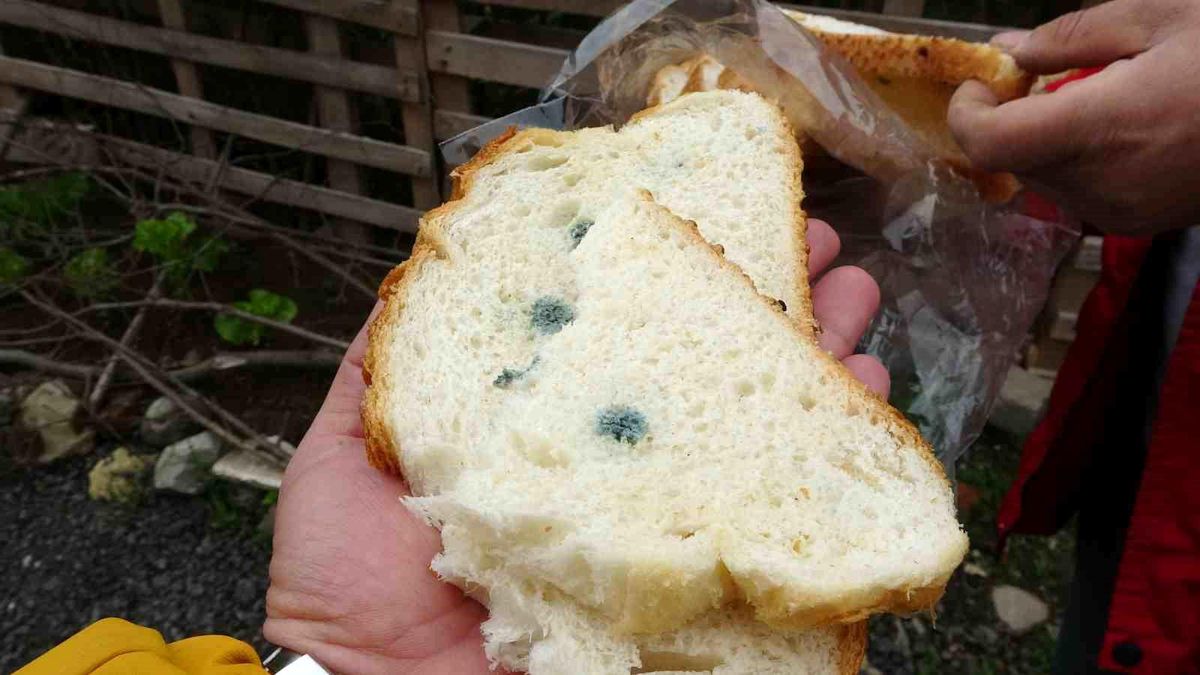 Ordu'da Küflü Ekmek Şikayeti: Market ve Fırına Ceza Kesildi