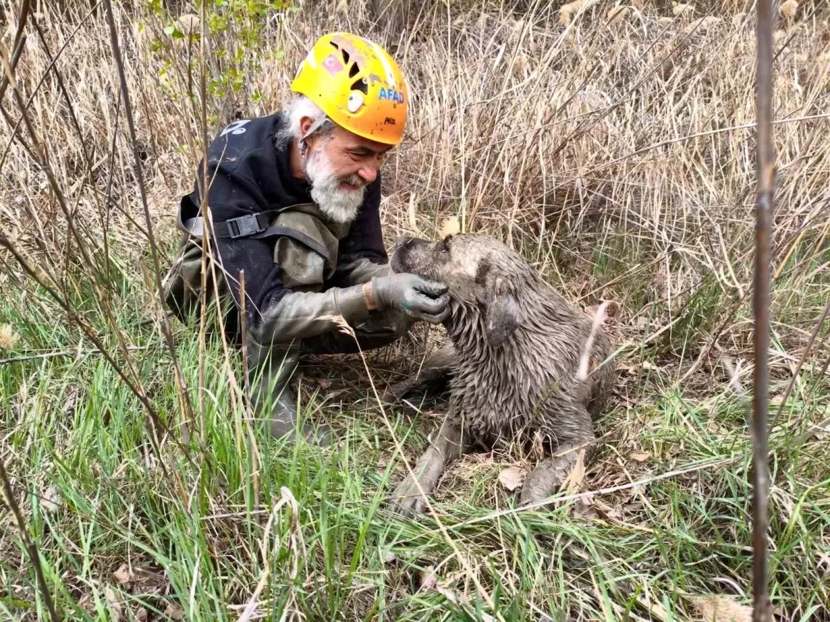 Eskişehir'de Su Dolu Kuyudan Köpek Kurtarıldı