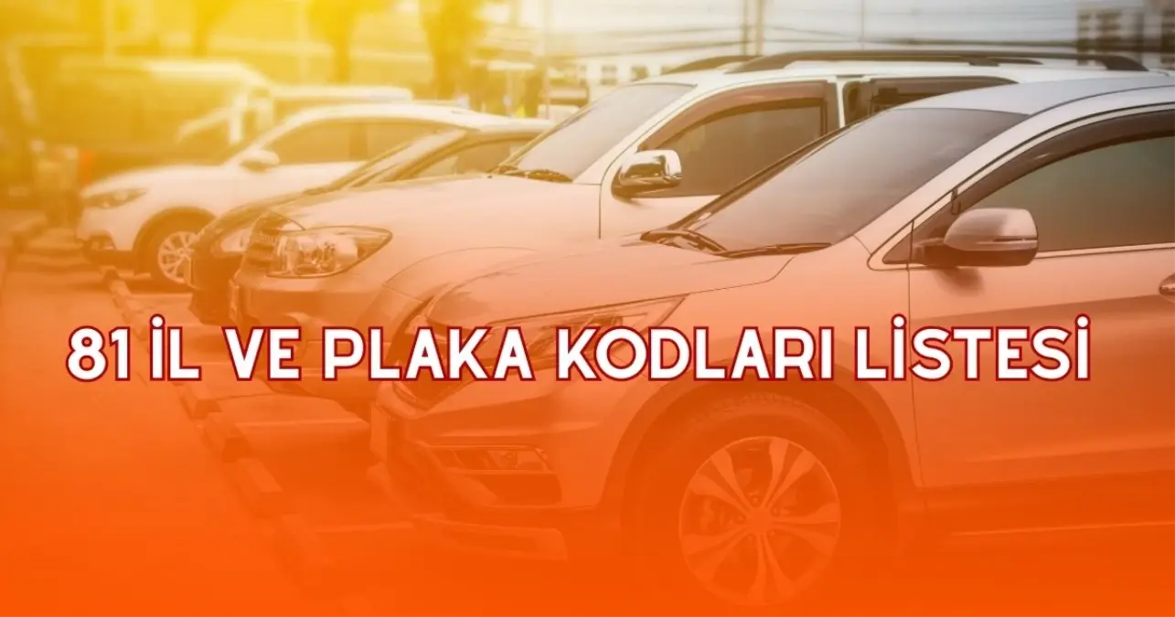 81 İl ve plaka kodları listesi – Türkiye plaka kodları 2025