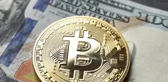 Bitcoin ETF'leri yedi günlük yükselişi sürdürüyor