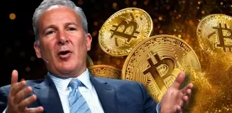 Ekonomist Bitcoin (BTC) fiyatının yükseliş nedenini açıkladı