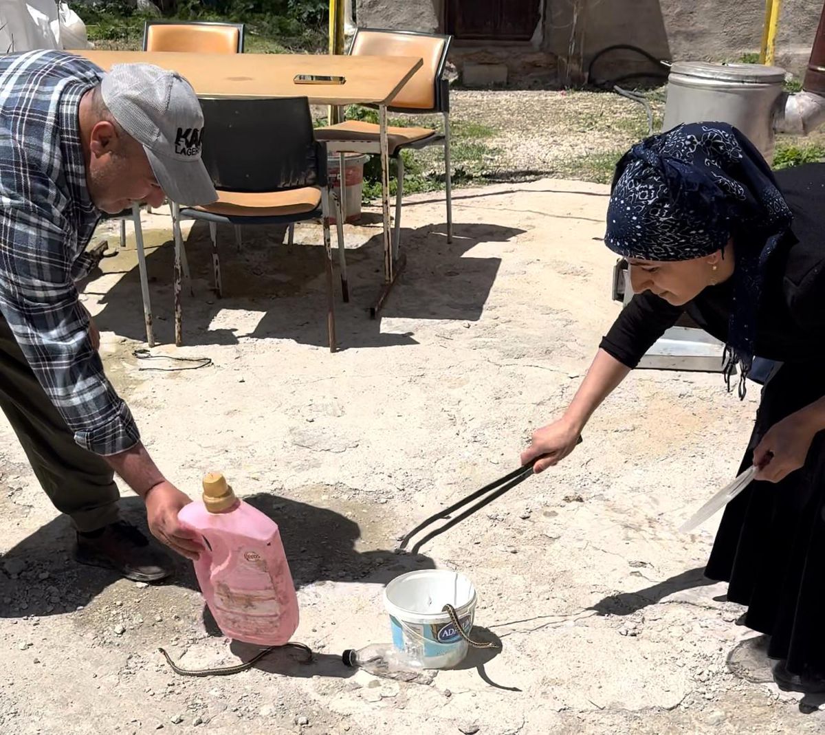 Hakkari'de Yılan Kabusu: Aka Ailesi Zor Günler Geçiriyor