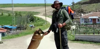 Köpeği 'Yoldaş' ile 3,5 yıldır şehir şehir gezerek fidan dikiyor