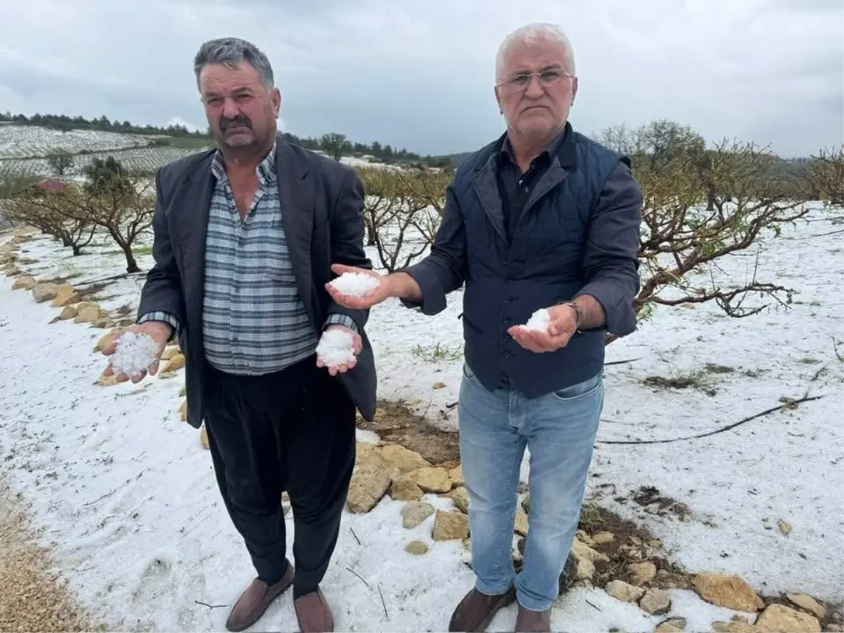 Erdemli'de Dolu Felaketi: Çiftçiler Acil Destek Bekliyor
