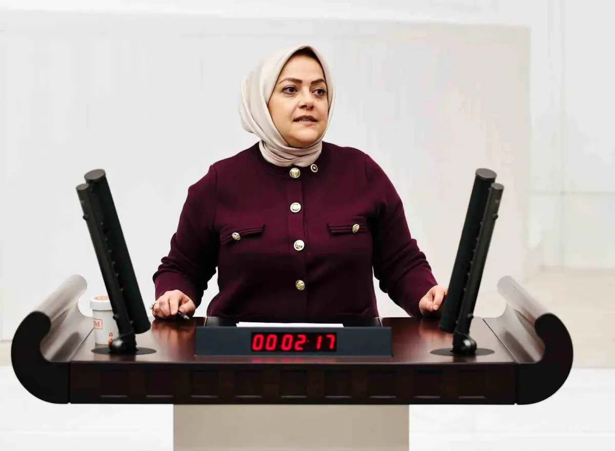 Sema Silkin Ün: Deprem Yaraları Sarılmadan İkinci Bir Felaketle Karşılaşabiliriz
