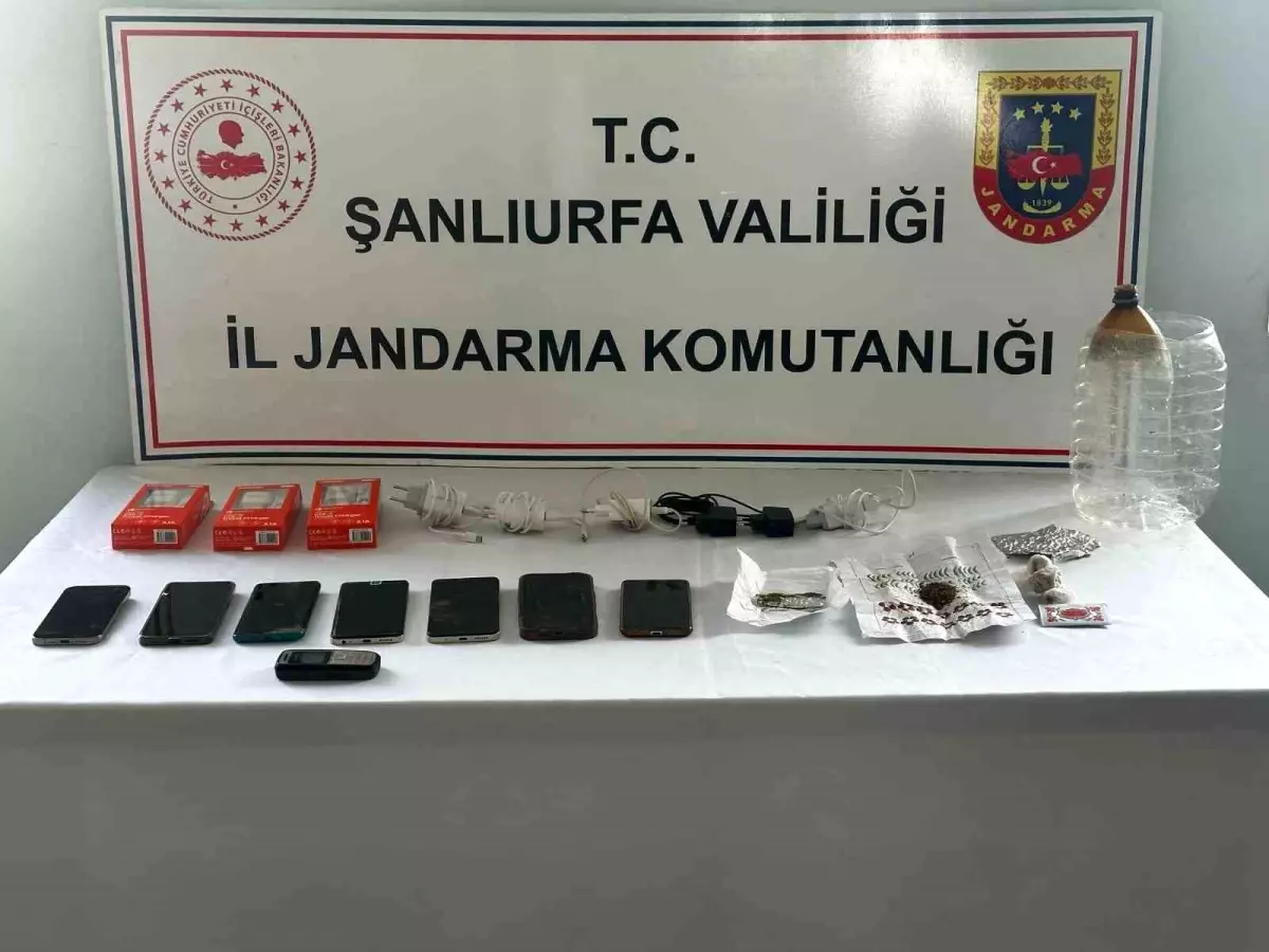 Şanlıurfa'da Telefon Dolandırıcılığı Operasyonu: 5 Şüpheli Yakalandı