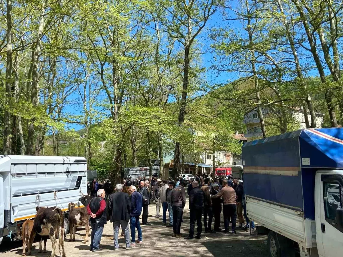 Kurban Bayramı Öncesi Çarşamba Pazarı'nda Hareketlilik